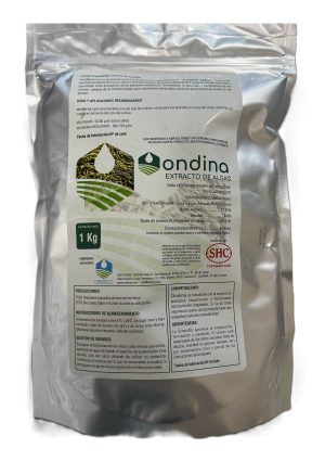 Ondina 1 kg